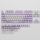 Blueberry Juice 104+29 XDA-like Profile Keycap Set Cherry MX PBT Dye-subbed for Mechanical Gaming Keyboard